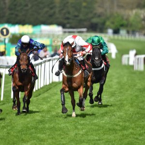 Sandown Park | Jump Finale | 29/4/23