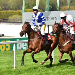 Sandown Park | Jump Finale | 29/4/23