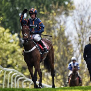 Sandown Park | Jump Finale | 29/4/23