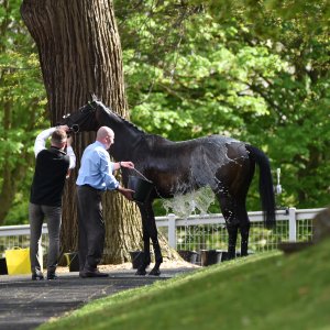 Sandown Park | Jump Finale | 29/4/23