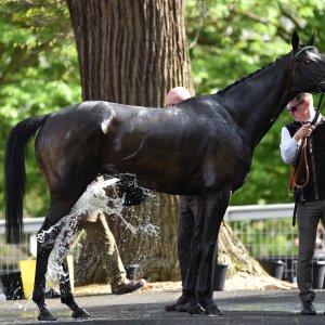 Sandown Park | Jump Finale | 29/4/23