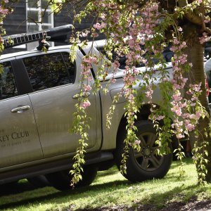 Sandown Park | Jump Finale | 29/4/23