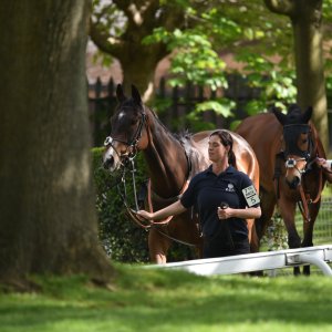 Sandown Park | Jump Finale | 29/4/23