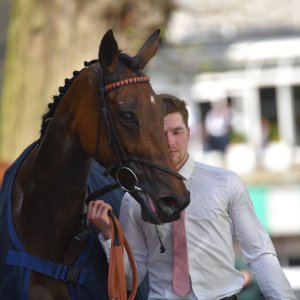 Sandown Park | Jump Finale | 29/4/23