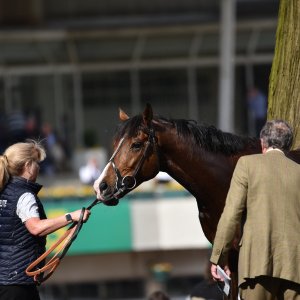 Sandown Park | Jump Finale | 29/4/23