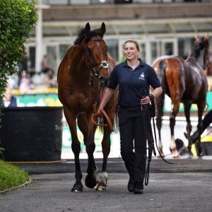 Sandown Park | Jump Finale | 29/4/23
