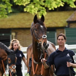 Sandown Park | Jump Finale | 29/4/23