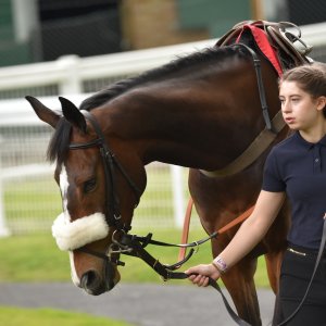 Sandown Park | Jump Finale | 29/4/23
