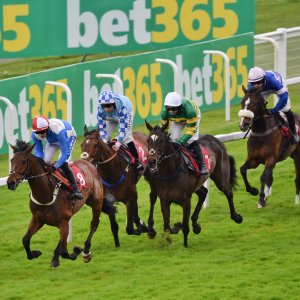 Sandown Park | Jump Finale | 29/4/23