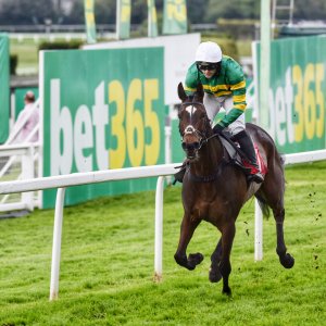 Sandown Park | Jump Finale | 29/4/23