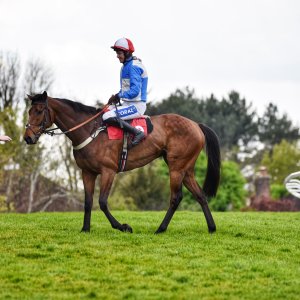 Sandown Park | Jump Finale | 29/4/23