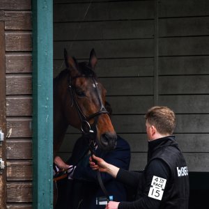 Sandown Park | Jump Finale | 27/4/24