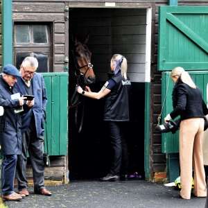 Sandown Park | Jump Finale | 27/4/24