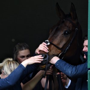 Sandown Park | Jump Finale | 27/4/24
