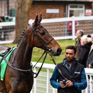 Sandown Park | Jump Finale | 27/4/24