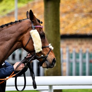 Sandown Park | Jump Finale | 27/4/24
