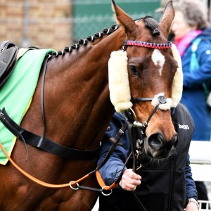 Sandown Park | Jump Finale | 27/4/24