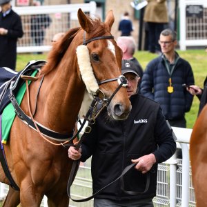 Sandown Park | Jump Finale | 27/4/24