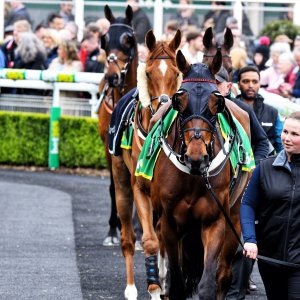 Sandown Park | Jump Finale | 27/4/24