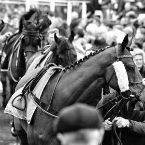 Sandown Park | Jump Finale | 27/4/24