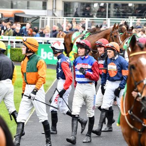 Sandown Park | Jump Finale | 27/4/24