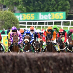 Sandown Park | Jump Finale | 27/4/24