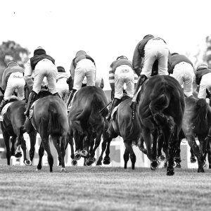 Sandown Park | Jump Finale | 27/4/24