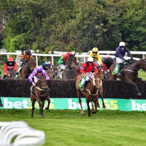 Sandown Park | Jump Finale | 27/4/24