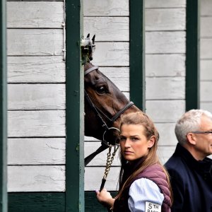 Sandown Park | Jump Finale | 27/4/24