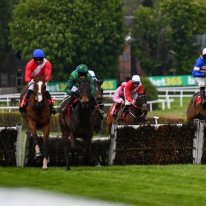 Sandown Park | Jump Finale | 27/4/24