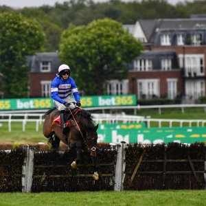 Sandown Park | Jump Finale | 27/4/24