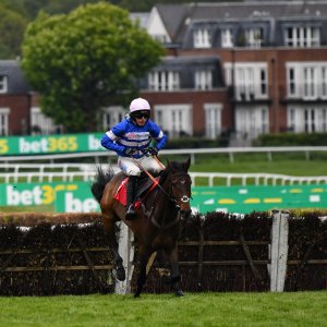 Sandown Park | Jump Finale | 27/4/24