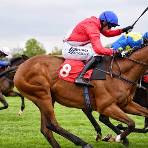 Sandown Park | Jump Finale | 27/4/24