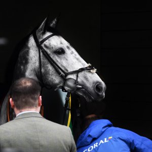 Sandown Park | Jump Finale | 27/4/24