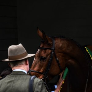 Sandown Park | Jump Finale | 27/4/24