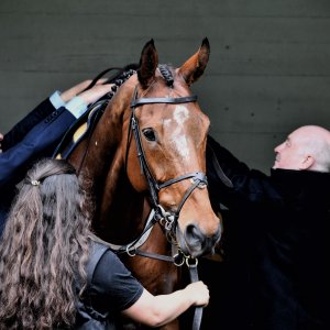 Sandown Park | Jump Finale | 27/4/24