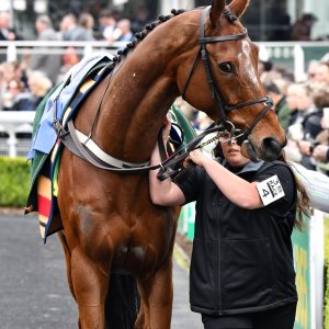 Sandown Park | Jump Finale | 27/4/24