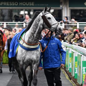 Sandown Park | Jump Finale | 27/4/24
