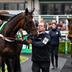 Sandown Park | Jump Finale | 27/4/24
