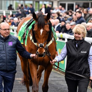Sandown Park | Jump Finale | 27/4/24