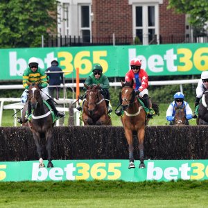 Sandown Park | Jump Finale | 27/4/24