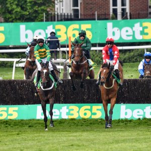 Sandown Park | Jump Finale | 27/4/24