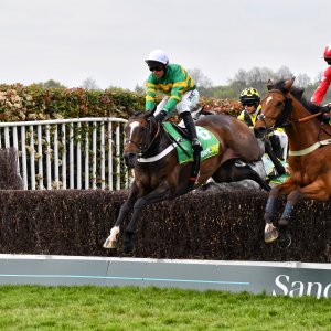 Sandown Park | Jump Finale | 27/4/24
