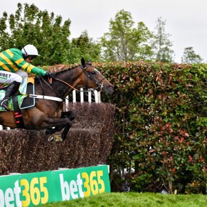 Sandown Park | Jump Finale | 27/4/24