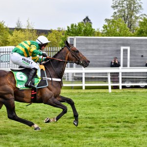 Sandown Park | Jump Finale | 27/4/24