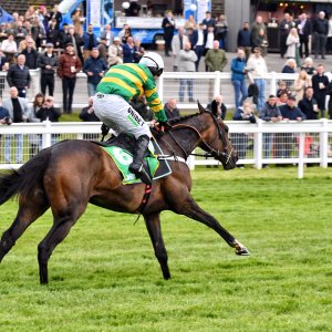 Sandown Park | Jump Finale | 27/4/24