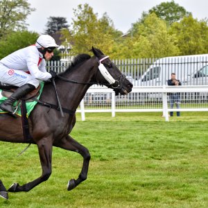Sandown Park | Jump Finale | 27/4/24