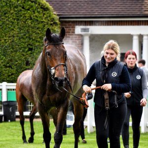 Sandown Park | Jump Finale | 27/4/24