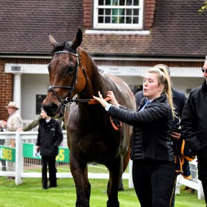 Sandown Park | Jump Finale | 27/4/24