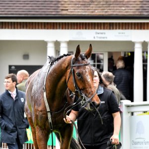 Sandown Park | Jump Finale | 27/4/24
